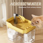 Pet Drinking Fountain