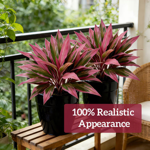 Planta Artificial Drácena Roja – Sin Mantenimiento, Siempre Verde!