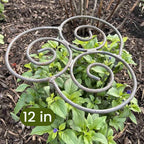 🌸 Soporte para Plantas – Porque las flores bonitas necesitan apoyo