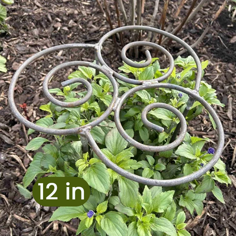 🌸 Soporte para Plantas – Porque las flores bonitas necesitan apoyo