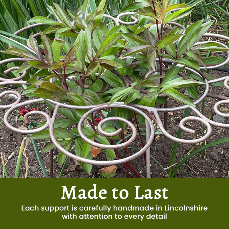 🌸 Soporte para Plantas – Porque las flores bonitas necesitan apoyo