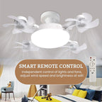 Drone Fan Light