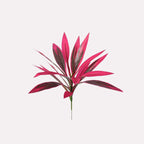 Planta Artificial Drácena Roja – Sin Mantenimiento, Siempre Verde!