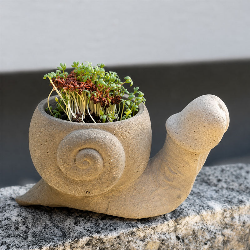 Fun garden planting pots