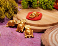 🐢2026 Golden Turtle Wealth Charm · Symbol Of Prosperity &amp; Good Fortune