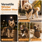 📢📢 50% RABATT IDAG!! ⏰ Varm vinterjacka för hundar med reflexband och inbyggd sele – perfekt för små och mellanstora hundar 🐾